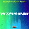 Kelsey Lynn - What's the Vibe