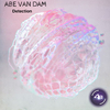 Abe Van Dam - Detection