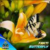 Fakti - Butterfly