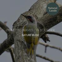 Osmotic Waves on Boulder - Nature Music