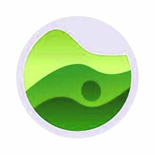 Rate Your Music：历代最佳女性艺术家Top50