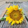 Barley Station - Like You for You