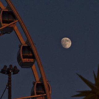 「华语 治愈系」孤独不将就，想念不回头