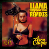 AronChupa - Llama In My Living Room (Johan Wernerby Remix)