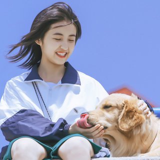 散伙终是常态，追梦皆是独行