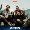 Yara - Genug