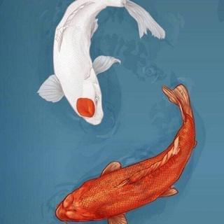 你的2020年好运 被这个锦鲤歌单承包了！