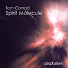 Tom Conrad - Spirit Molecule (Original Mix)