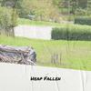 COOKER - Heap Fallen