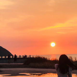 小红书分享单曲:/