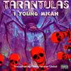 1 Young Micah - Tarantulas