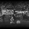 Brzozi Brzozowski - Siano