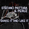 Stefano Mattara - Shake It and Like It