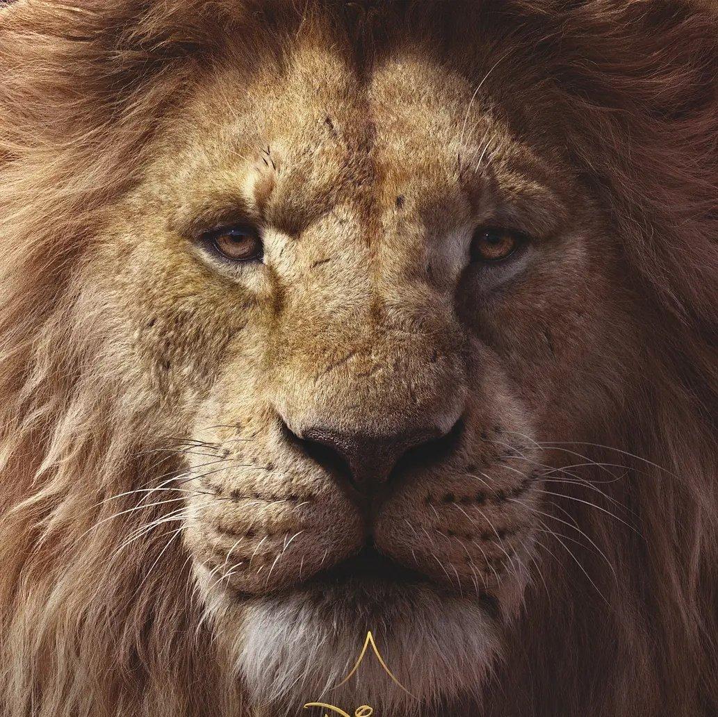 电影丨狮子王thelionking真人版ost