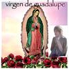 Dinos - Virgen De Guadalupe