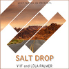 V I F - Salt Drop (2doo Remix)