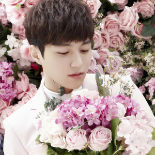 和喜欢的人制造些比夏天还温暖的事