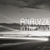 Analyze - Picture Us Rolling