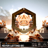 JLV - Never Letting Go (Extended Mix)