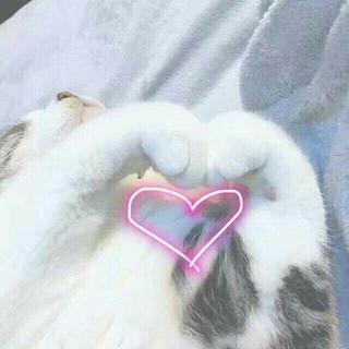 满汉全媳