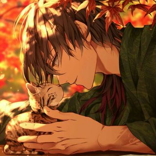 「日系」片刻宁静/温暖如风