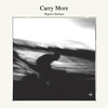 Segawa Tatsuya - Carry More