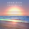 Adam Rich - True Bliss