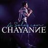 Chayanne - Torero (Live Version)