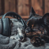 Pets Music - Leisurely Pet Harmonics