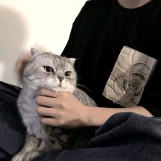 小杨要买菜合集