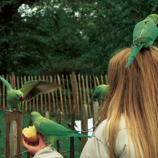 时间从来不语，却回答了所有问题