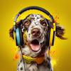 Olas de música para perros - Divertidos Ritmos De Perros