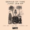 Genius Of Time - Tom Jam