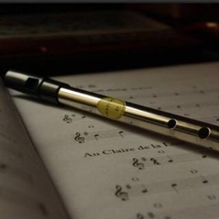 TinWhistle& Recorder…/哨笛与竖笛等