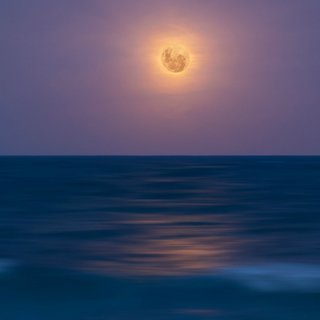 春风沉醉的夜晚，缠绵杯盏烛光