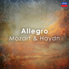 Maxence Larrieu - Sonata for Piano and Violin in B flat, K.15 - Arr. for Flute and Harp:2. Allegro grazioso