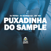 DJ Teteu - Puxadinha do Sample