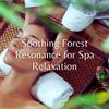 The Rainforest Collective - Spa Moments Amidst the Trees