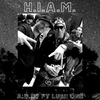 A.D.D? - H.I.A.M. (feat. Lush One)