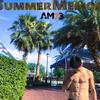 Am73 - SummerMemory
