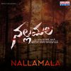 Ashwini Chepuri - Nallamala (From 