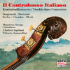 Massimo Giorgi - Double Bass Concerto in A Major:II. Andante