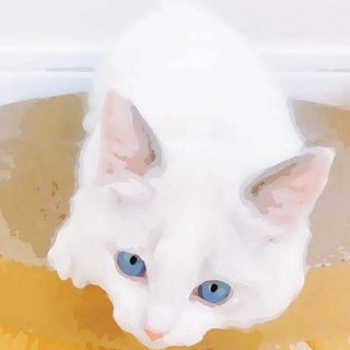 MOM-蜡笔小新