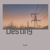 BetaOri - Destiny