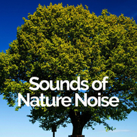 Sounds of Nature Noise