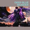 David Wilson - Deep Blue Wonder (Acoustic)