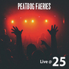 Peatbog Faeries - Spiders (Live)