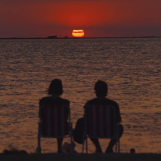 “夏天又来了 我们仍然在一起”