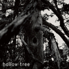 Hollow Tree - Bird Nest