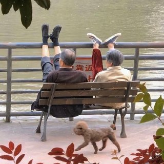 王巨星/是你的垚/要不要买菜/颜人中/刘大壮